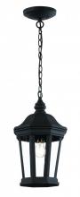 Trans Globe 40405 BK - 1LT HANGING LANTERN-MED-BK-BEV